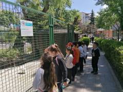Evrensel Kolej